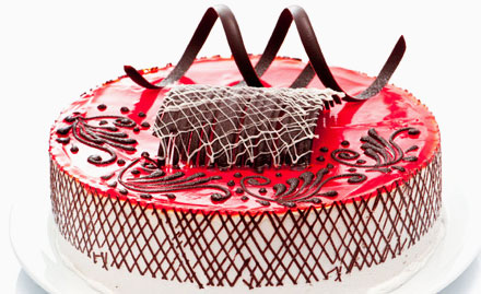 The Cake Gallery Kamla Nagar - 15% off on cakes, cupcakes, snacks and more
