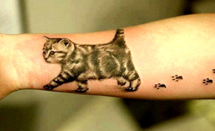 Skink Tattoos And Body Piercing Vasco Da Gama - 30% off on permanent tattoo. Ink your skin!