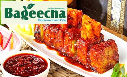 Bageecha Vardhman Nagar - 20% off on a minimum billing of Rs 400. Enjoy pure vegetarian North Indian and Chinese dishes!