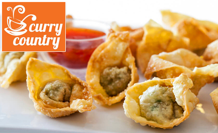 Curry Country Jakat Naka - 25% off on wonton, manchurian, fried rice and more