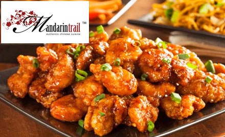 Mandarin Trail Sector 38 Noida - 20% off on food bill