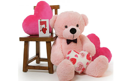 Daddy's Gift Gallery Sector 6, Dwarka - 20% off on soft toys!
