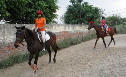 Horse Master Sector 145, Noida - Get a horse riding session at just Rs 320!