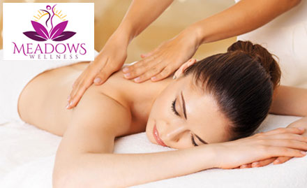 Meadows Wellness Preet Vihar - Upto 70% off body spa & hair care services!